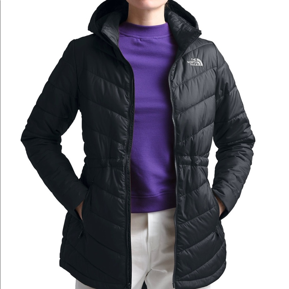 North face down parka